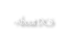 About DCS